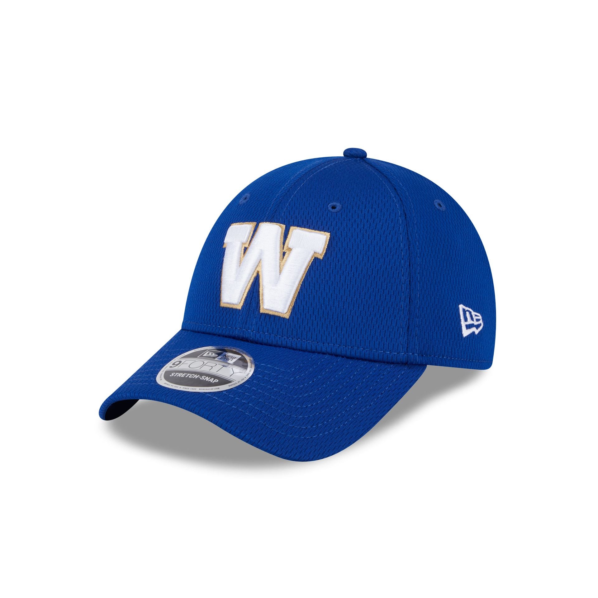 Winnipeg Blue Bombers Team 9Forty Snapback Hat