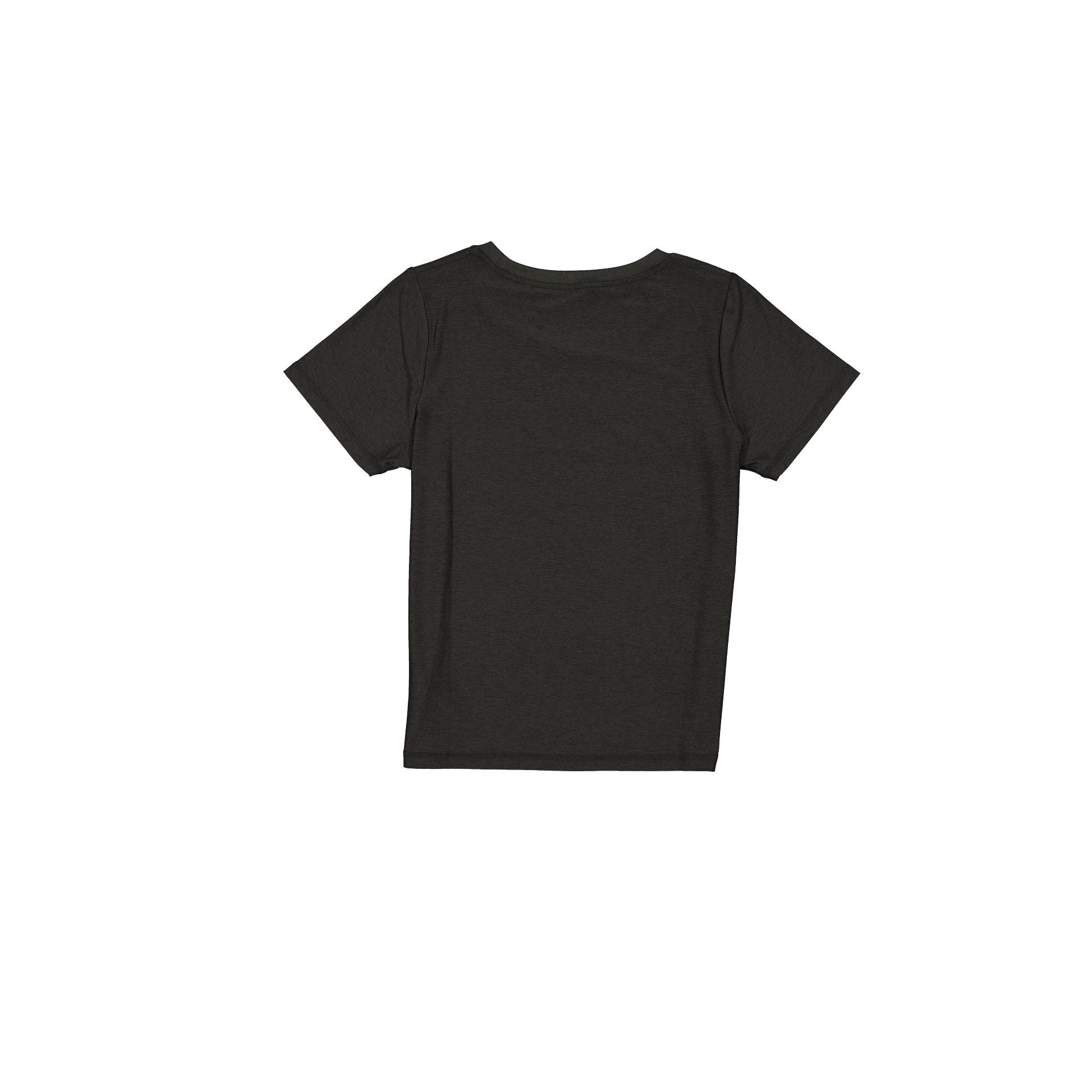 Alternative view of Pittsburgh Steelers 2025 Functional Fandom Women's Short Sleeve T-Shirt