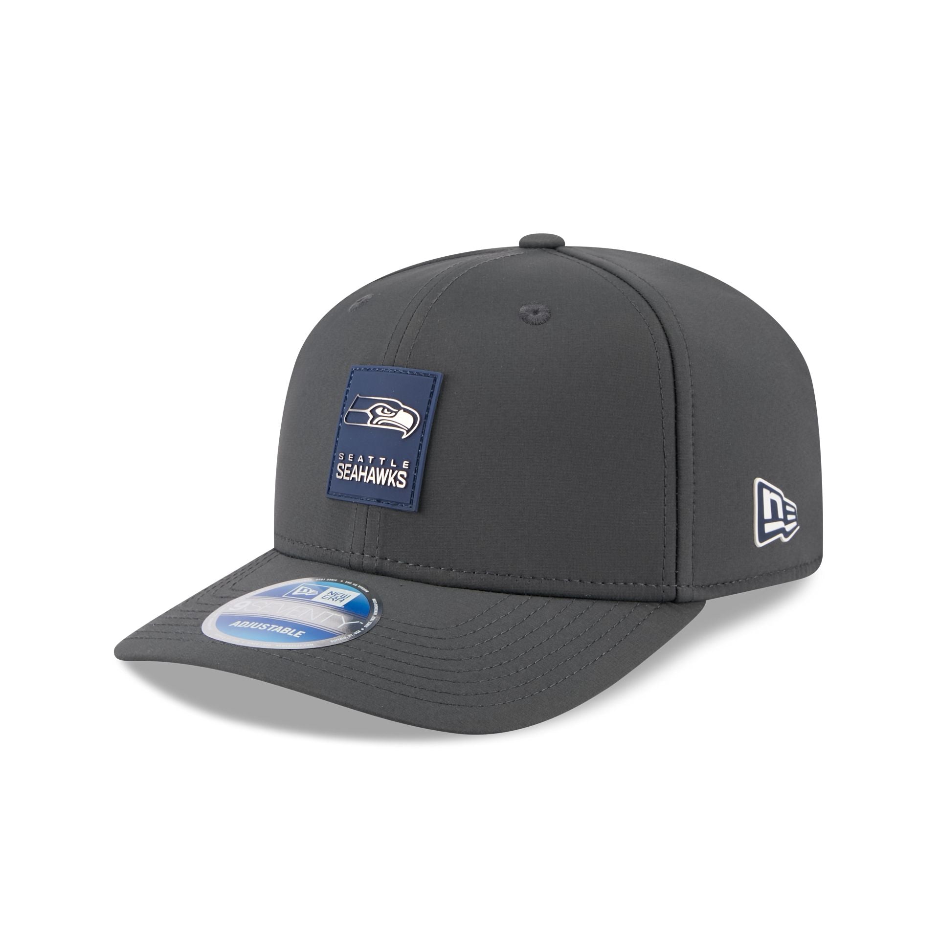 Seattle Seahawks 2025 Sideline Cold Weather Steel Clouds 9Seventy Stretch-Snap Hat