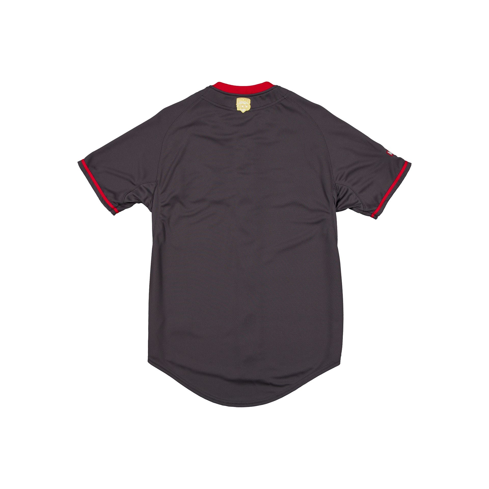 Diablos Rojos Del MéXico Lmb 100Th Anniversary Gray Alt Jersey - Image 2