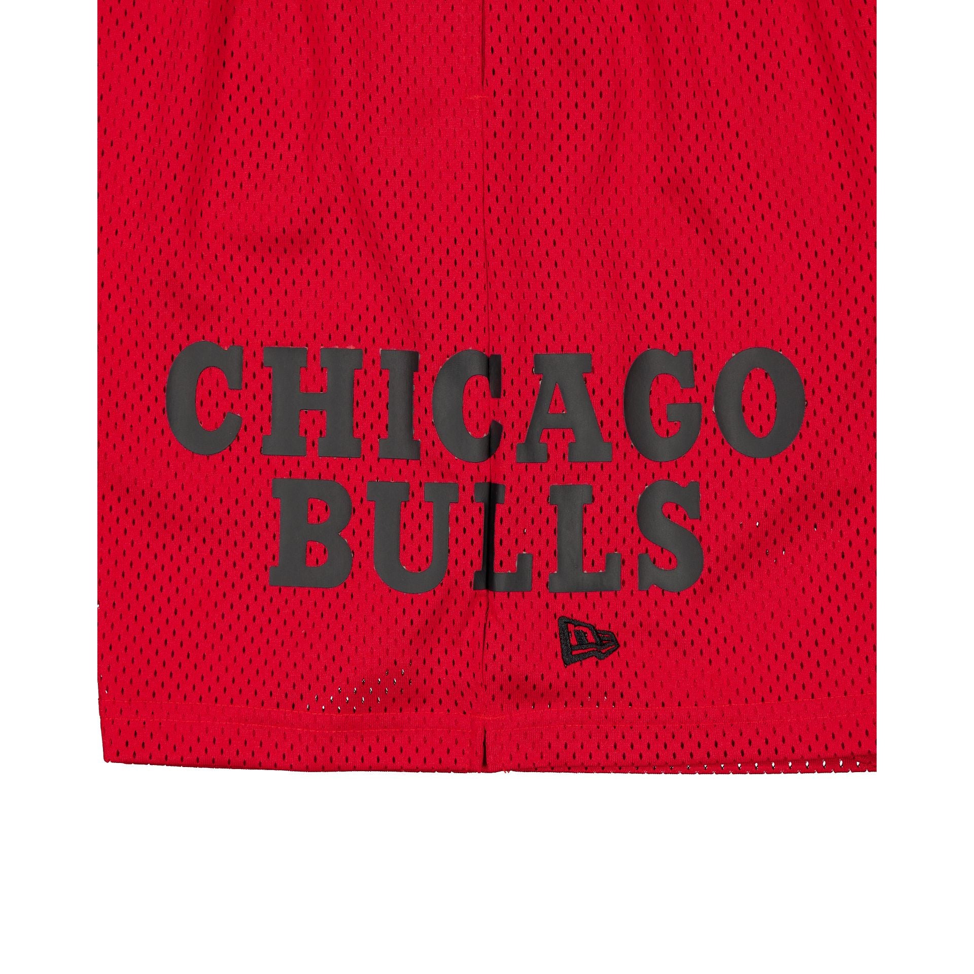 Alternative view of Chicago Bulls Summer Shorts