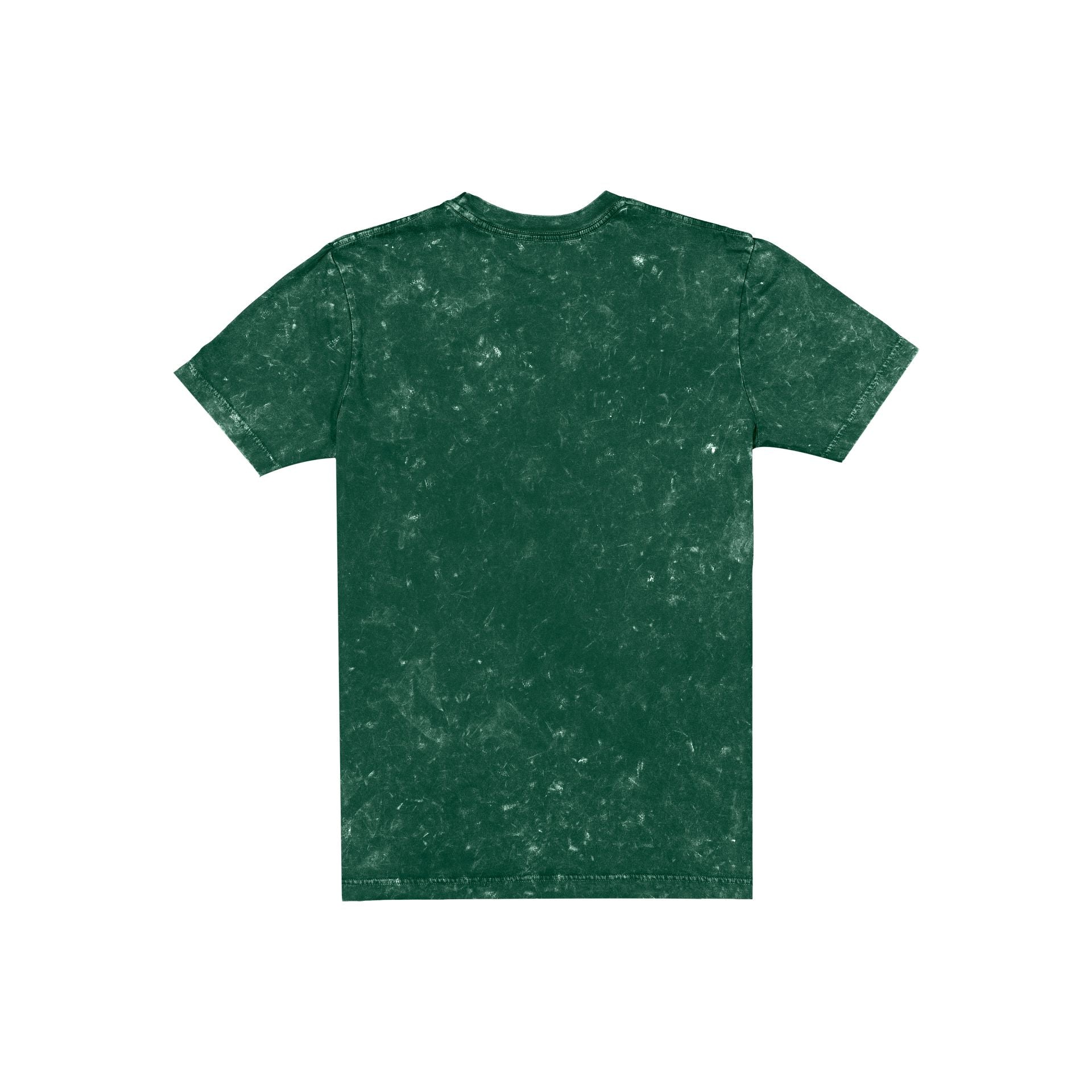 Alternative view of Green Bay Packers Throwback Washed T-Shirt