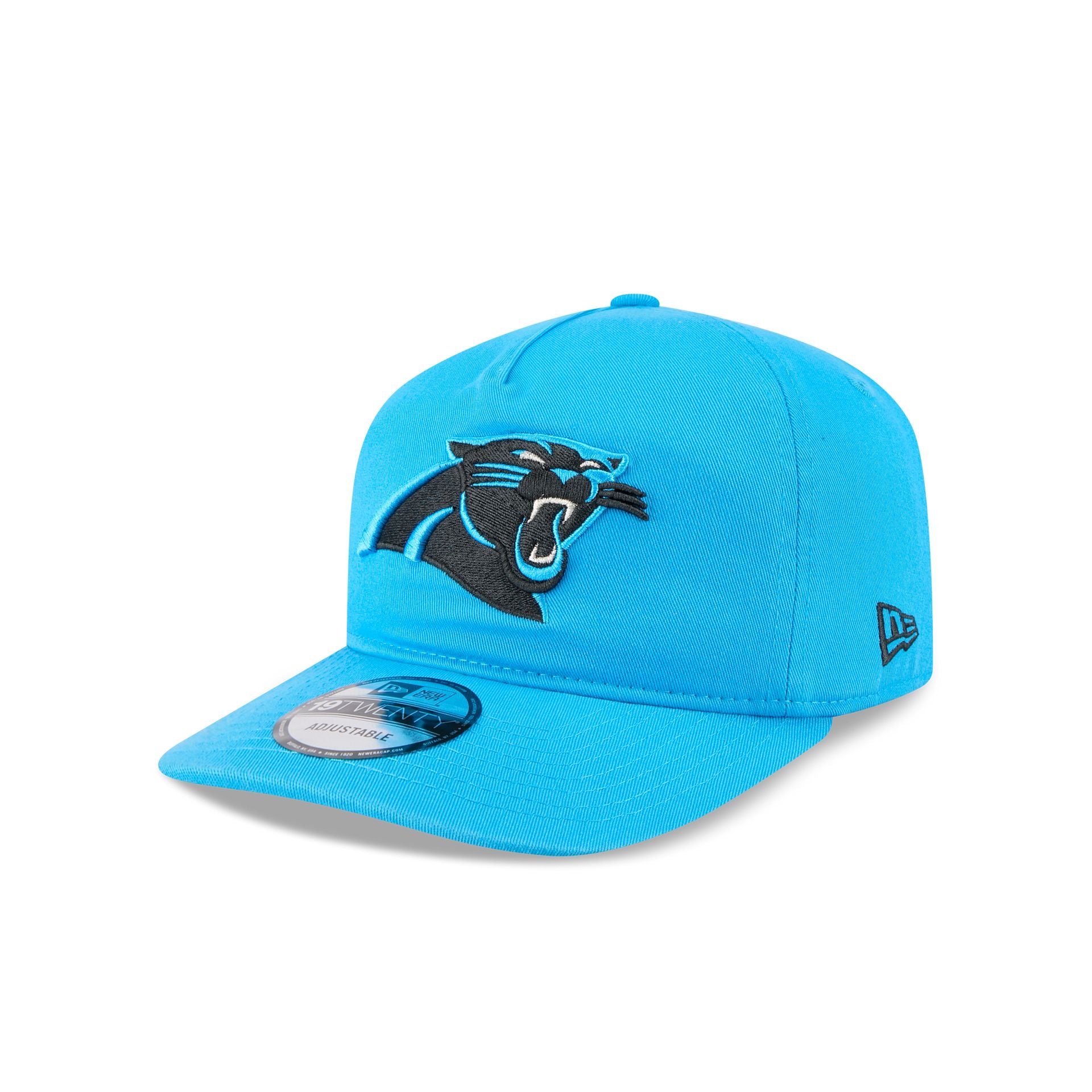 Carolina Panthers 19Twenty Snapback Hat