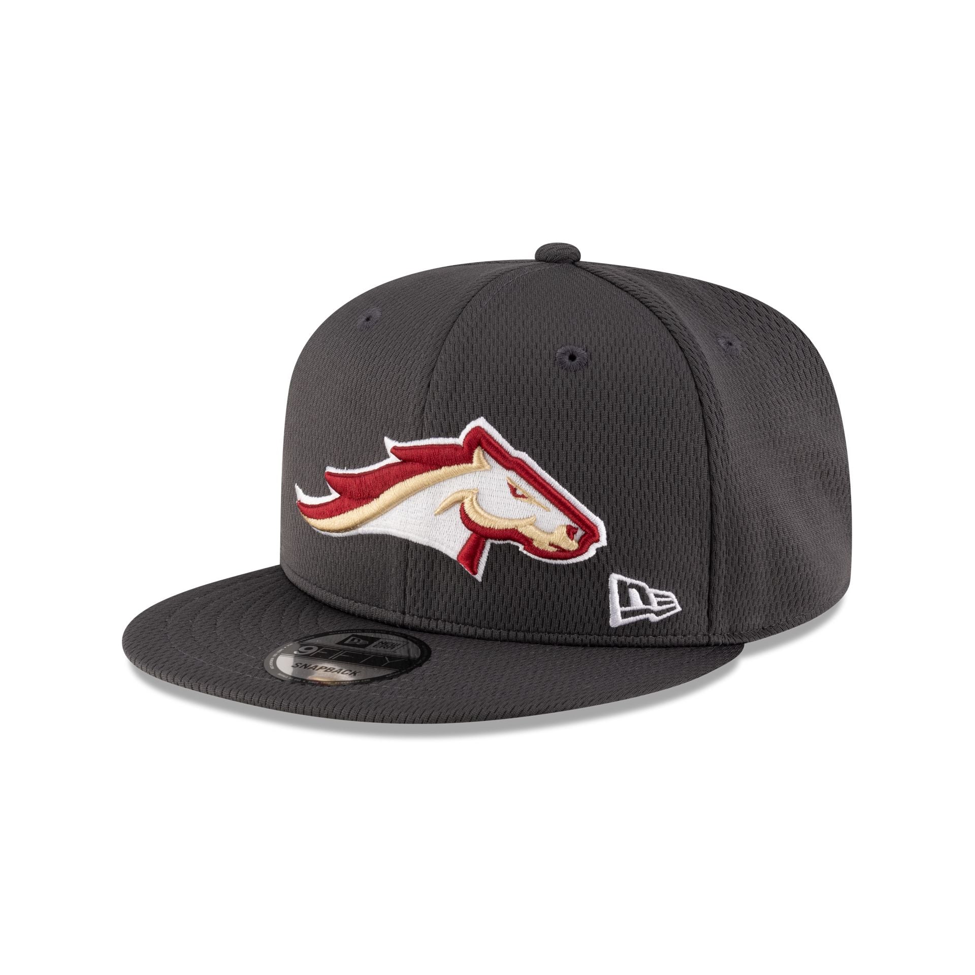 Birmingham Stallions Gray 9Fifty Snapback Hat