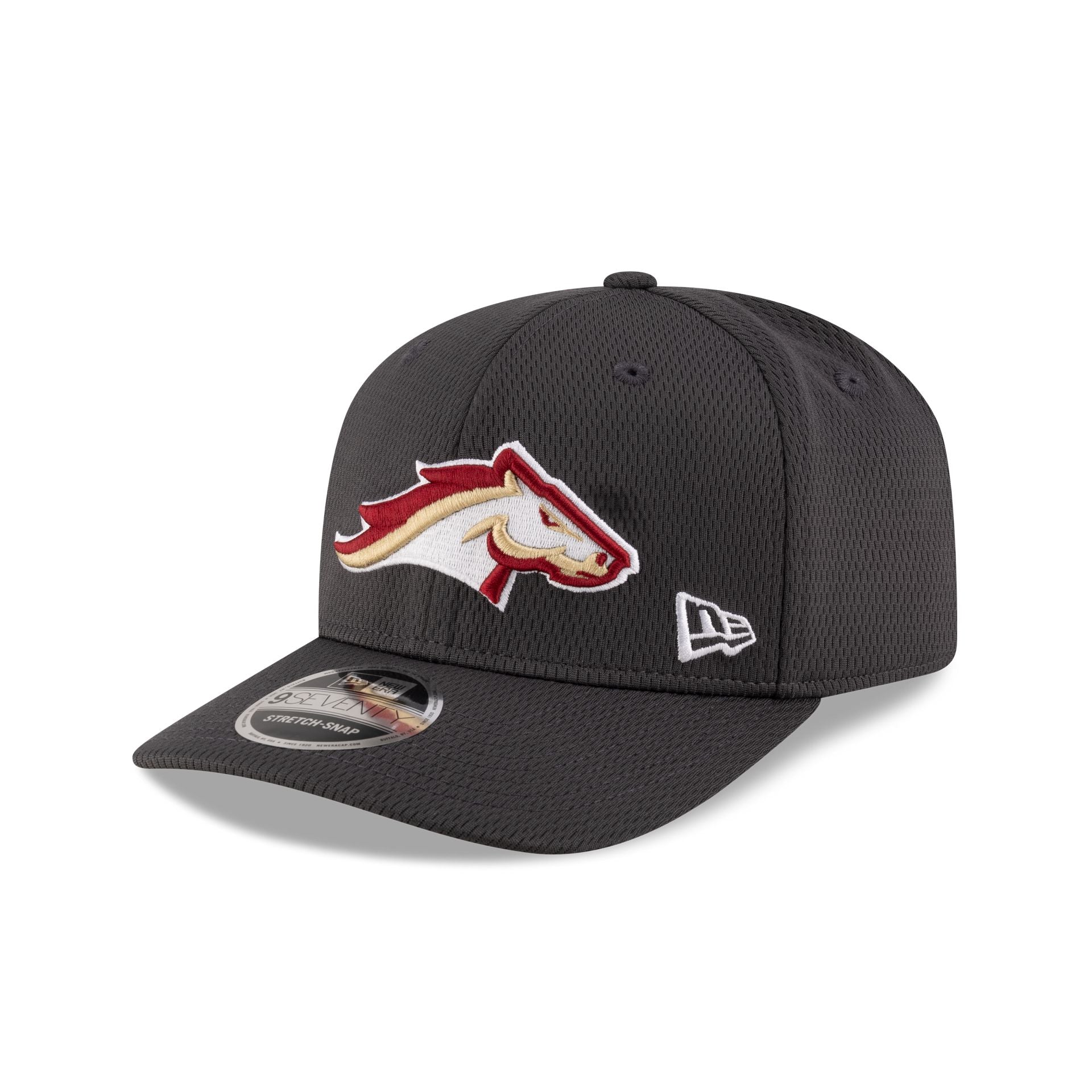Birmingham Stallions Gray 9Seventy Stretch-Snap Hat