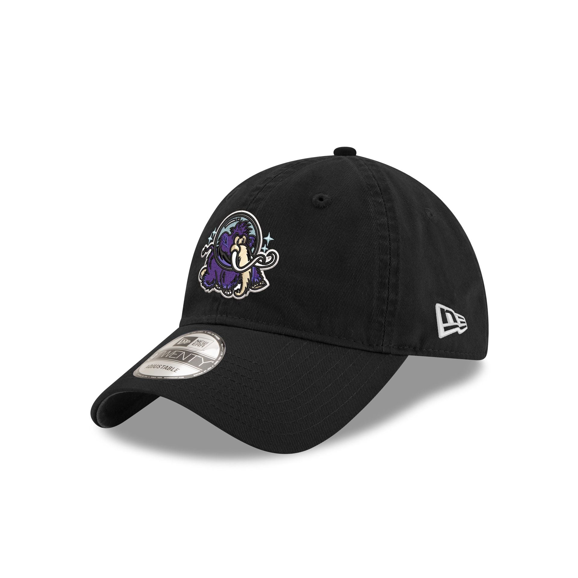 Erie Moon Mammoths 9Twenty Adjustable Hat